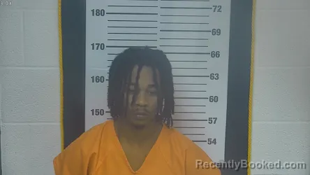 Mugshot of MEKHI MAURION PITTMAN