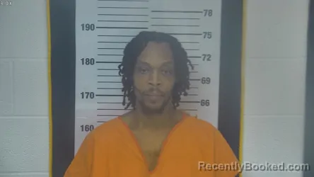 Mugshot of IRA L BROWN