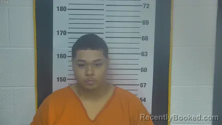 Mugshot of BRALYN DAMAREA WALTON