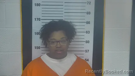 Mugshot of NORMESHA PRINCESS DENNIS