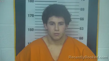 Mugshot of CHASE CORION LIPPUS