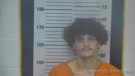 Mugshot of MASON L VANNESS