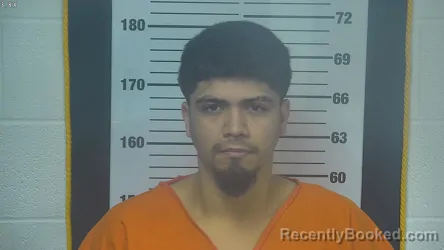 Mugshot of MARTIN ALEXANDER RAUDIA-URRUTIA