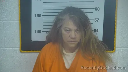 Mugshot of TAMMY LYNN CRAVENS