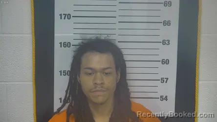 Mugshot of ROBERT MARQUIS TANNER booked in Ottawa County, Ohio on March 31, 2026