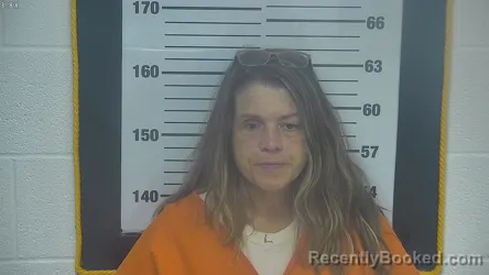 Mugshot of MALISSA LYNN EVANS booked in Ottawa County, Ohio on April 2, 2026