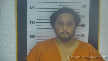 Mugshot of NICKALAUS TYPOS REID booked in Ottawa County, Ohio on April 15, 2026