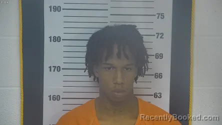 Mugshot of YASIR N PRESTON booked in Ottawa County, Ohio on April 20, 2026