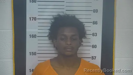 Mugshot of JHAMIR L CHAPMAN booked in Ottawa County, Ohio on April 23, 2026