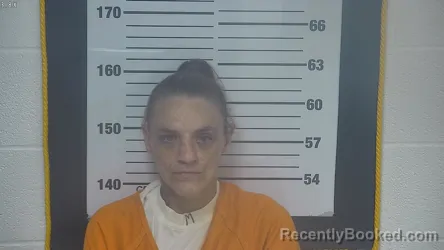 Mugshot of TINA MARIE DOWNEY booked in Ottawa County, Ohio on April 29, 2026