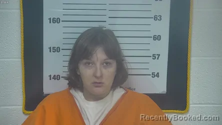 Mugshot of BRITTANY M HENSLEY booked in Ottawa County, Ohio on May 3, 2026