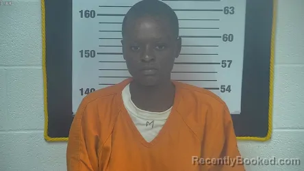 Mugshot of VANESSA W TJONGARERO-HENDERSON booked in Ottawa County, Ohio on June 10, 2026