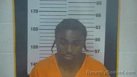 Mugshot of MEKHI NATHANIEL WILBERT booked in Ottawa County, Ohio on June 21, 2026