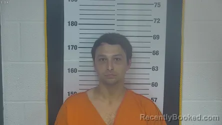 Mugshot of PETER CHRISTIAN LADD booked in Ottawa County, Ohio on June 29, 2026