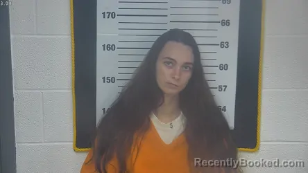 Mugshot of LORETTA BROOKE HOLLOWAY booked in Ottawa County, Ohio on July 7, 2026