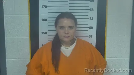 Mugshot of RAYANN JEANETTE DIEBERT booked in Ottawa County, Ohio on July 15, 2026