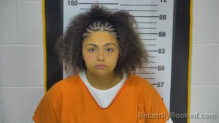 Mugshot of Jaide E Brown booked in Ottawa County, Ohio on August 7, 2026