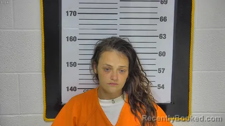 Mugshot of Amanda Mae Linda Lou Phillips booked in Ottawa County, Ohio on September 2, 2026