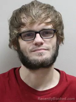 Mugshot of DAVID PAUL DREW