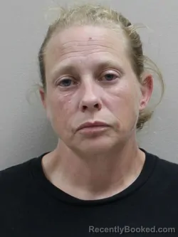Mugshot of Deana Lynn Ostrander booked in Paulding County, Ohio on August 30, 2026