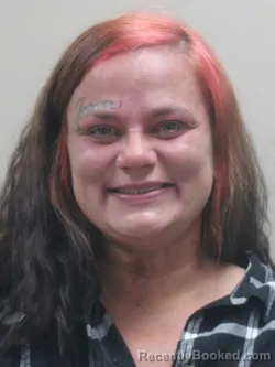 Mugshot of PAIGE MARIE SHOMSKY