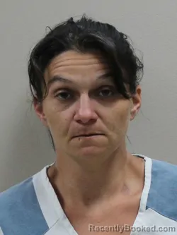 Mugshot of HEATHER MARIE MAIN booked in Paulding County, Ohio on June 11, 2026