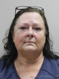 Mugshot of LISA BEREGSZAZI booked in Paulding County, Ohio on July 30, 2026