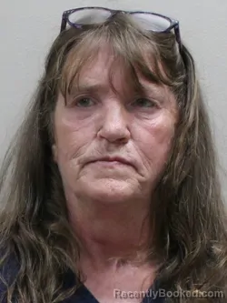 Mugshot of Paula Kay Proxmire booked in Paulding County, Ohio on August 27, 2026