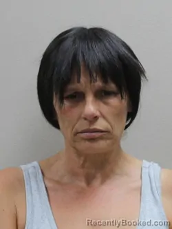 Mugshot of STEPHANIE RENEE KREMER booked in Paulding County, Ohio on July 31, 2026