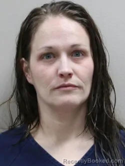 Booking photo from Paulding County, Ohio