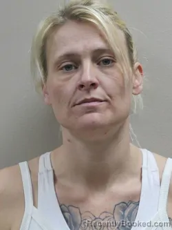 Mugshot of SHANTEL MARIE COLLINS