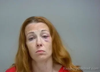 Mugshot of Amanda Marie Robinson booked in Pickaway County, Ohio on August 17, 2026