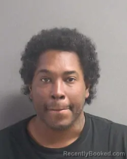 Mugshot of DAVID ANTHONY RINGLING