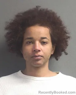 Mugshot of YVETTE NICOLE HOBSON