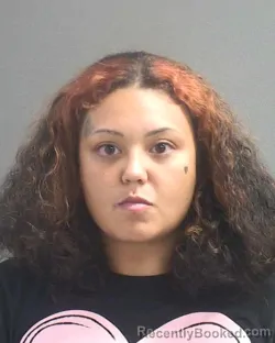 Mugshot of LILLIAN MARIE NADERY