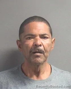 Mugshot of DARRYL VAN JOHNSON