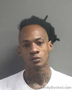 Mugshot of LETHARIO HADDOCKS