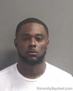 Booking photo from Volusia County, Florida