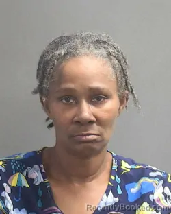 Mugshot of CHAKA NJA INEZ CLARK