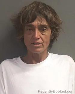 Mugshot of MELISSA ELIZABETH-LOUISE ORTIZ