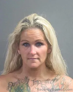 Mugshot of MEGAN JEANNE NETTLES