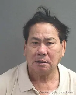 Mugshot of XONG VO