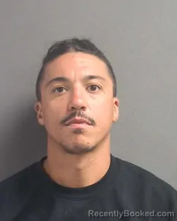 Mugshot of ANTHONY C LYONS