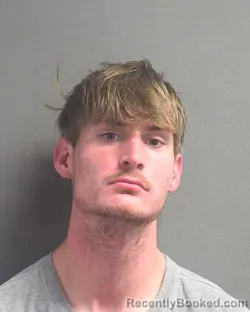 Mugshot of THOMAS D WHITING