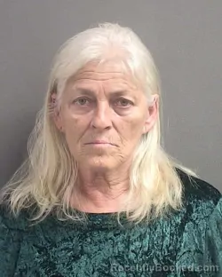 Mugshot of TINA JO TATE