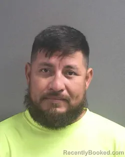 Mugshot of ASCENCION ALVARADO ESTRADA