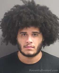 Mugshot of JAMIL REINALDO GONZALEZ ROSADO
