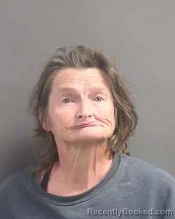 Mugshot of BRIDGETTE LEIGH CATO