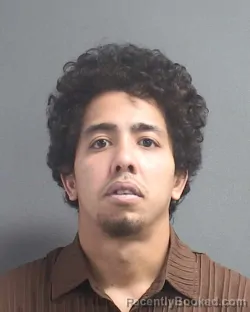 Mugshot of LUIS ENRIQUE GARCIA CANARIO
