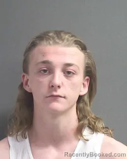 Mugshot of IRA V MESLAR